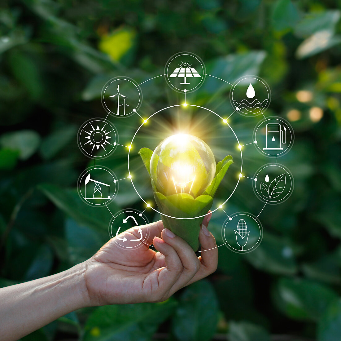 Hand holding light bulb against nature on green leaf with icons energy sources for renewable, sustainable development. Ecology concept. Elements of this image furnished by NASA.